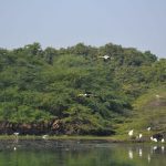 Lajpat Nagar Central Market (New Delhi)