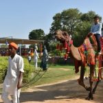 Most Popular Winter Festivals in India