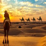 Top 5 National Parks in Madhya Pradesh