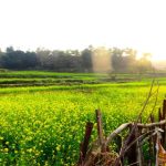 एक ऐसा राष्ट्रीय उद्यान जिसका नाम गोविंद बल्लभ पंत के नाम पर रखा गया है