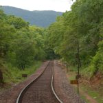 Best National Parks of Haryana