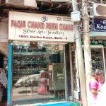 “Delhi Metro: Beyond Transportation – A Journey Through Sustainability, Social Impact, and Urban Growth”