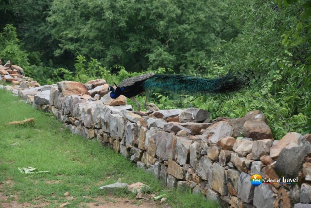 राजस्थान