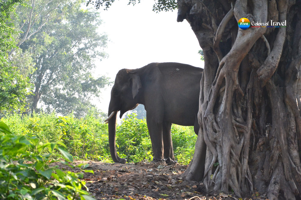 नेशनल पार्क