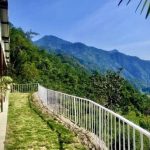 तड़पती गर्मी की हो प्यास, तो बेल का शर्बत है बेहद खास !