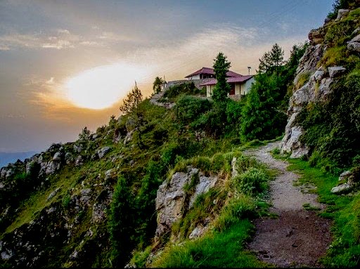 शाली टिब्बा
