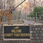 दिवाली के 7 सबसे रोचक और अनसुने तथ्य: पौराणिक कथाओं से लेकर ग्लोबल फेस्टिवल तक, वह सब जो आप नहीं जानते!