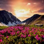 मालदेवता की खूबसूरत वादियों को देखकर मन कहेगा- हो जाए कैंपिंग!