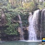 ठेकुआ चुरा लेगा आपका जी! देसीपन में लिपटी मिठास, ठेकुआ का स्वाद कभी नहीं भूलेंगे आप!