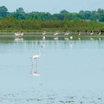 Kuldhara- क्यों कहलाता है राजस्थान का सबसे हॉन्टेड विलेज?