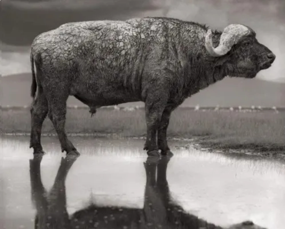 खून जैसी दिखने वाली Tanzania की इस झील का सच जानकर हो जाएंगे हैरान