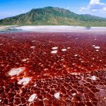 Jeju Island- एयरपोर्ट पर ही रुक जाते हैं भारतीय पर्यटक? जानिए रहने और एंट्री की सख्त शर्तें