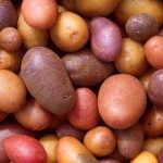 लगभग 5,000 मीटर की ऊँचाई पर बसा है दुनिया का ये सबसे ऊँचा रेलवे स्टेशन