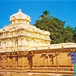 चेक्स फैशन का कमबैक: क्यों GenZ को इतना पसंद आ रहा है ये ट्रेंड